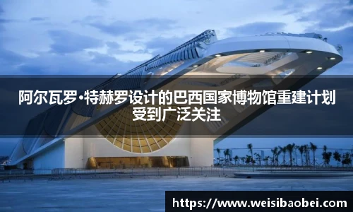 金年会